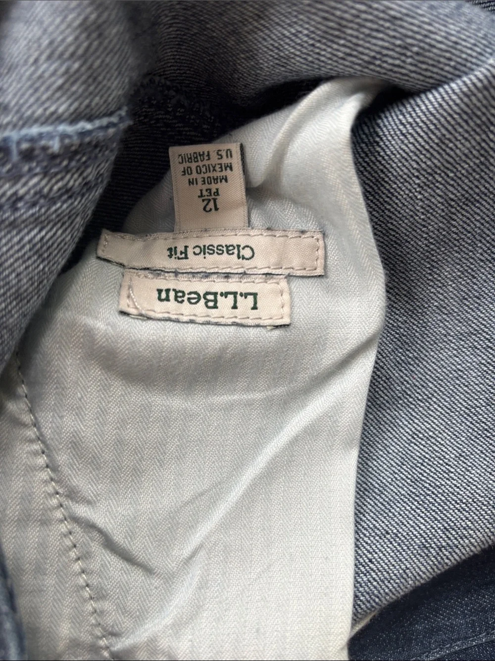 L.L. Bean denim a line skirt